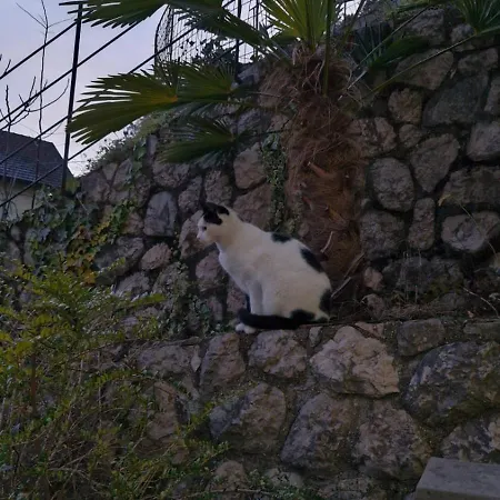 Apartman Stari Pazar 2 *