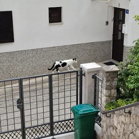 Stari Pazar 2 *