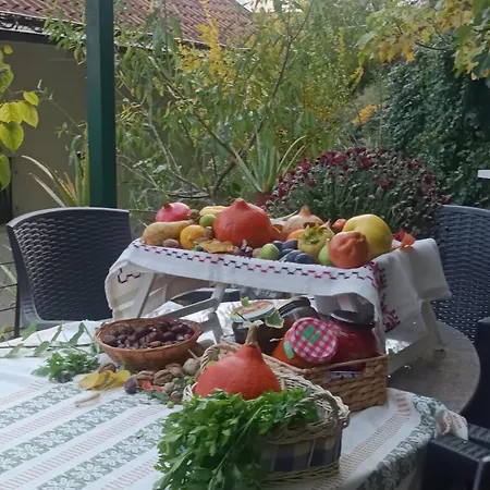 公寓 Stari Pazar 2 科尼茨